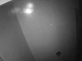voyeurcam casa salsa bathroom 10